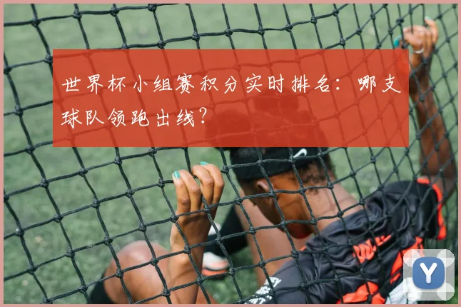 世界杯小组赛积分实时排名:哪支球队领跑出线?